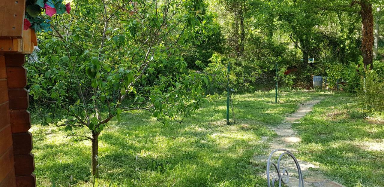 Villa Eden Vert Fayence Exteriör bild